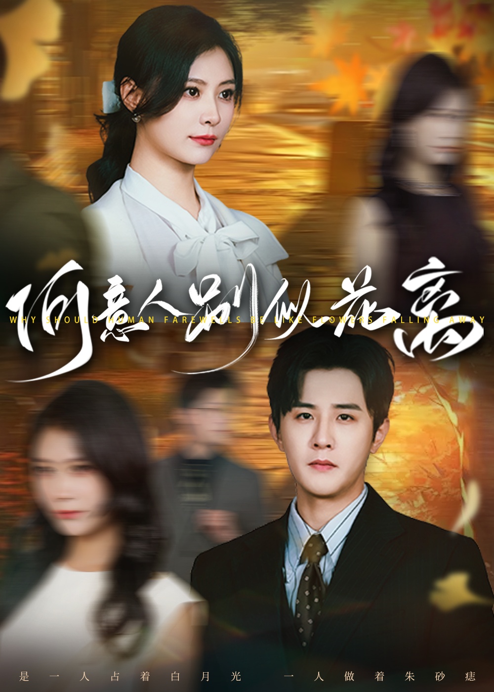 短剧《何意人别似花离》 全集免费在线观看，高清画质，大结局震撼揭晓