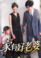 短剧 《家有好老婆》 高清全集完整版免费在线播放 短剧 《家有好老婆》 高清全集完整版免费在线播放