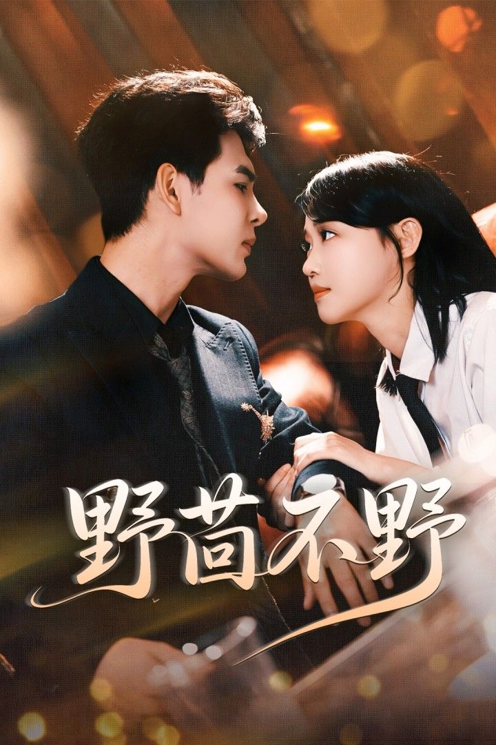 短剧 《野茴不野》 高清完整全集无删减版在线免费播放 短剧 《野茴不野》 高清完整全集无删减版在线免费播放