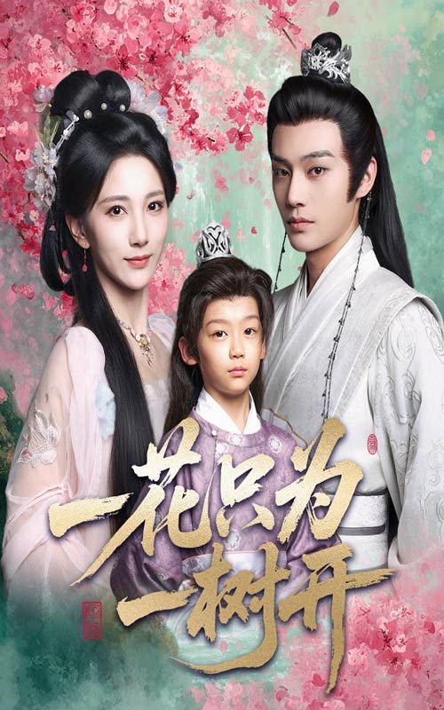 短剧 《一花只为一树开》 高清全集完整版免费在线观看 HD