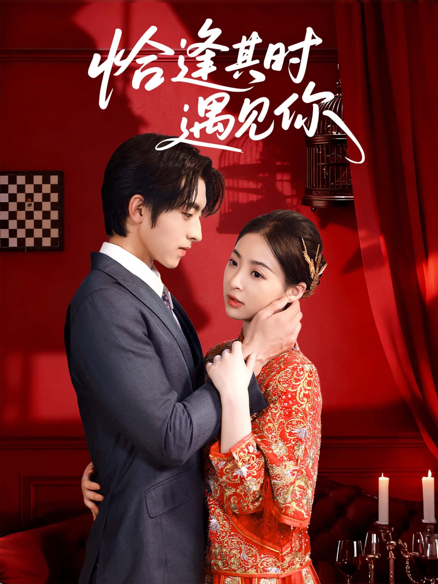 短剧 《恰逢其时遇见你》 免费在线观看 HD 高清全集完整版