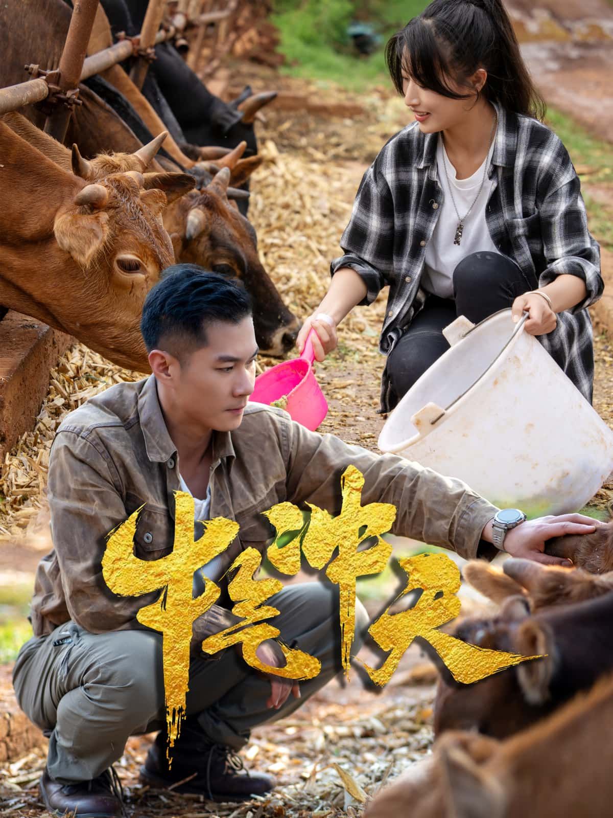 短剧 《牛气冲天》 高清全集完整版免费在线看 短剧 《牛气冲天》 高清全集完整版免费在线看