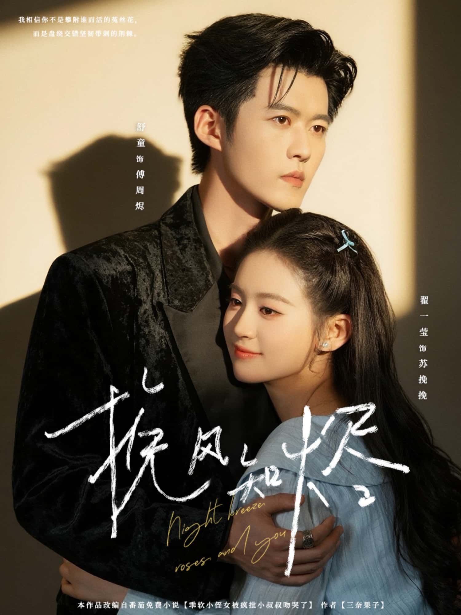 短剧 《挽风知烬》 在线播放 1080P 高清全集完整版