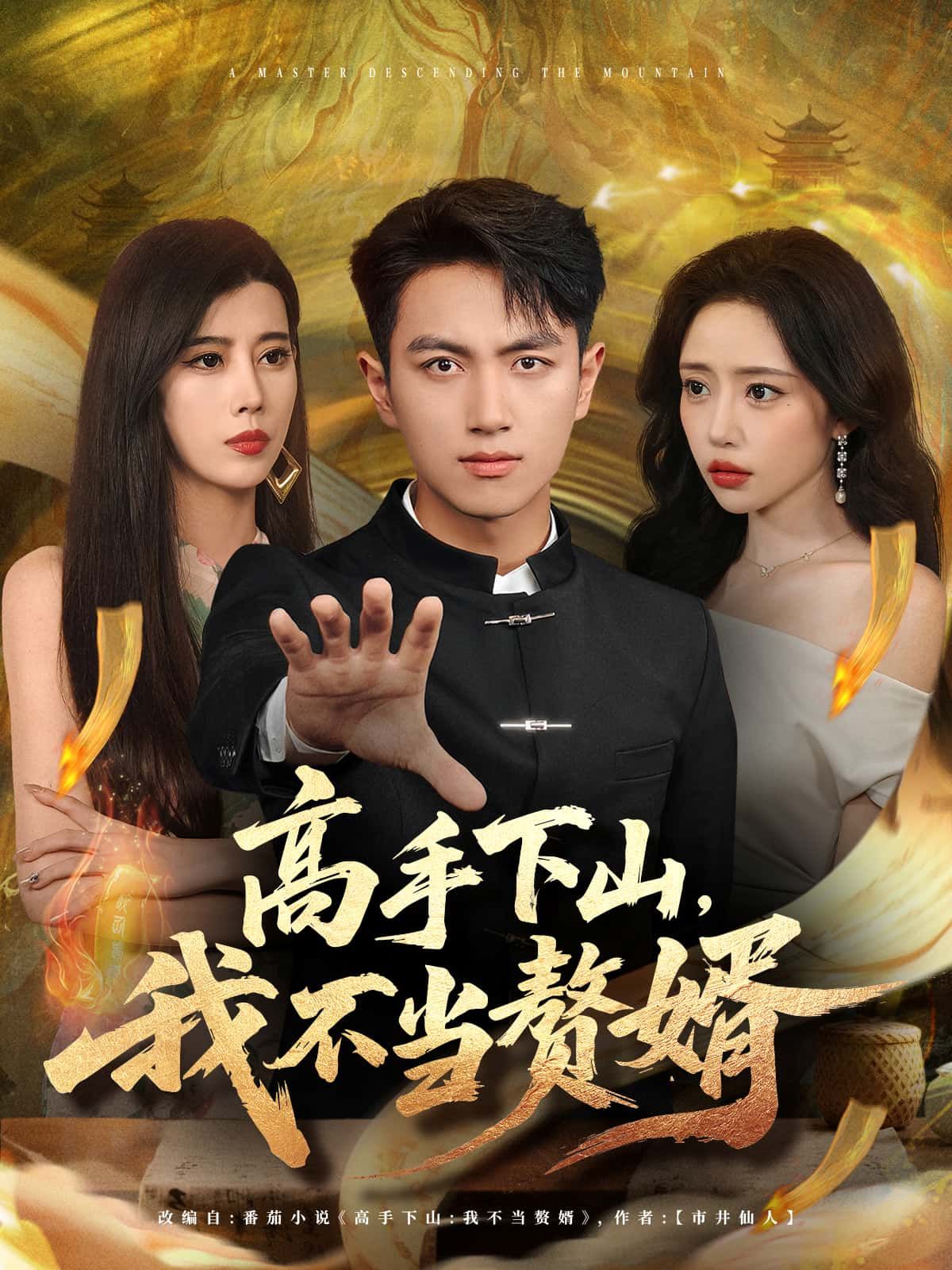 短剧 《高手下山,我不当赘婿》 观看超高清全集完整版在线看 短剧 《高手下山,我不当赘婿》 观看超高清全集完整版在线看