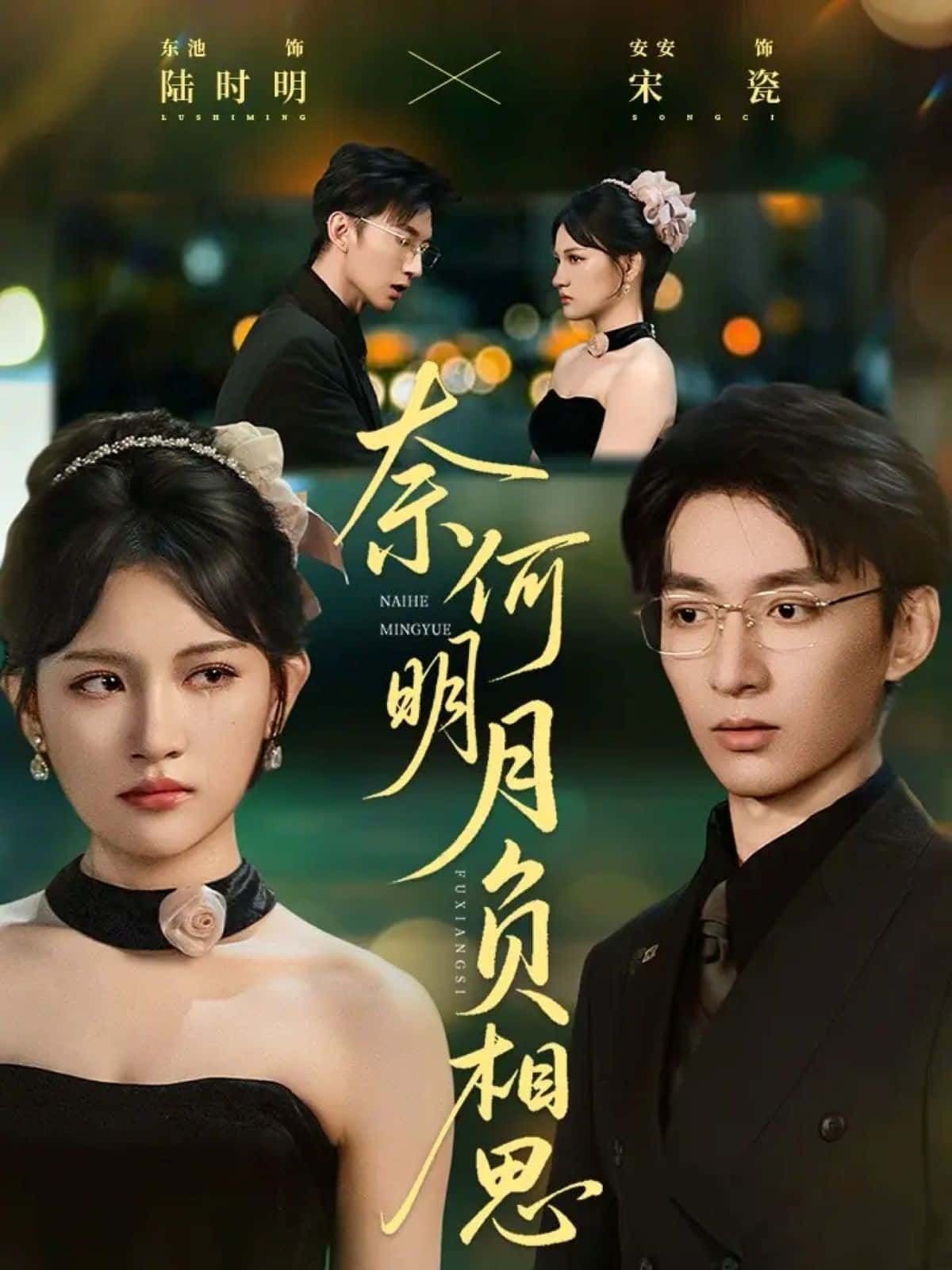 短剧 《奈何明月负相思》 1080P 高清完整全集在线观看