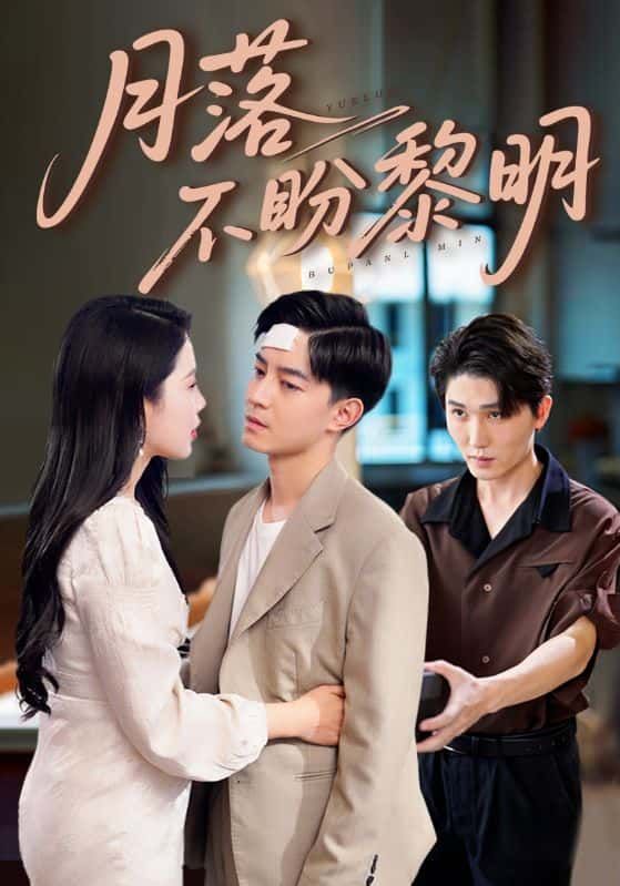 短剧 《月落不盼黎明》 超高清全集完整版在线观看