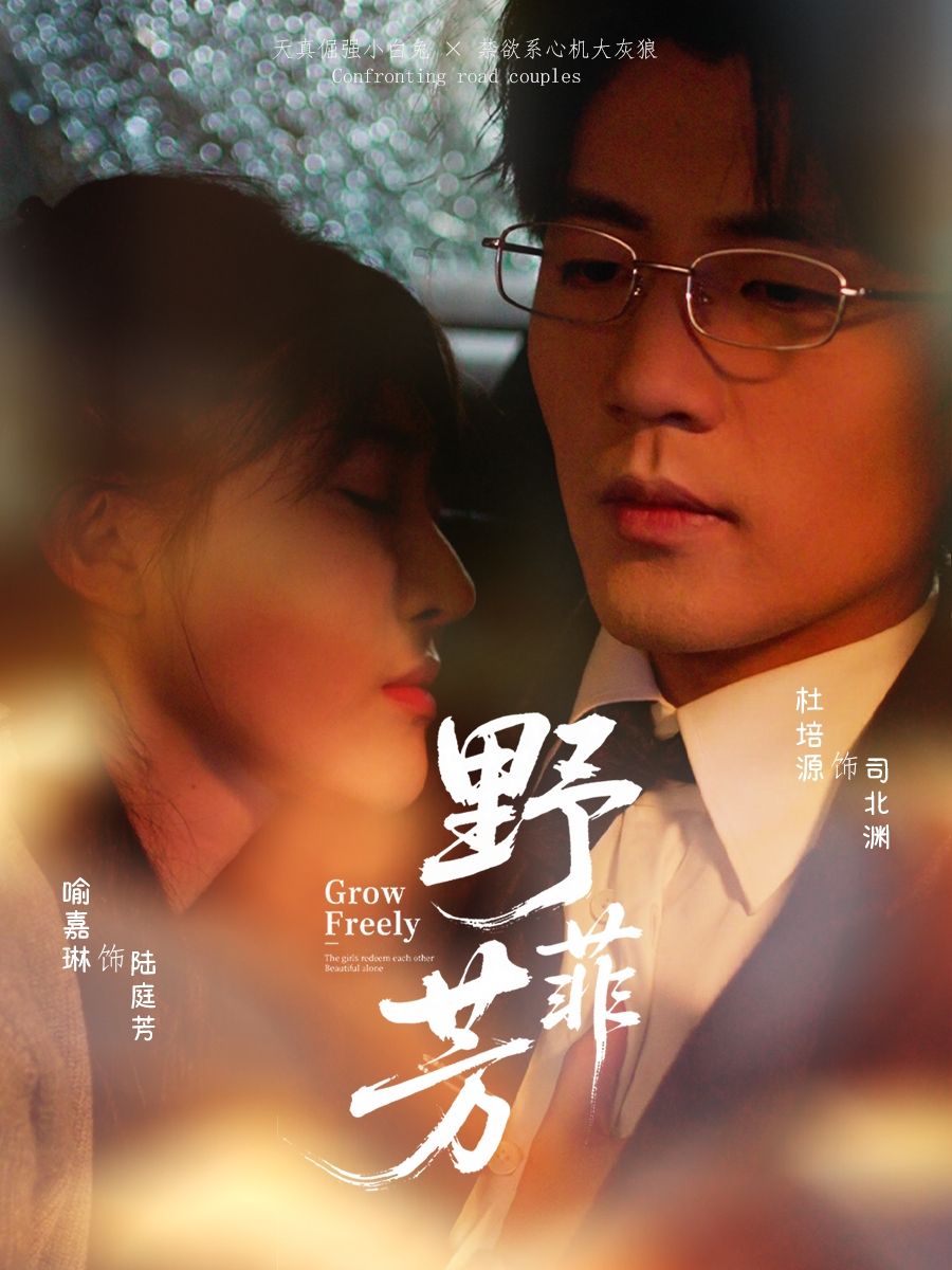 短剧 《野芳菲》 HD 高清无删减全集在线播放 1080P