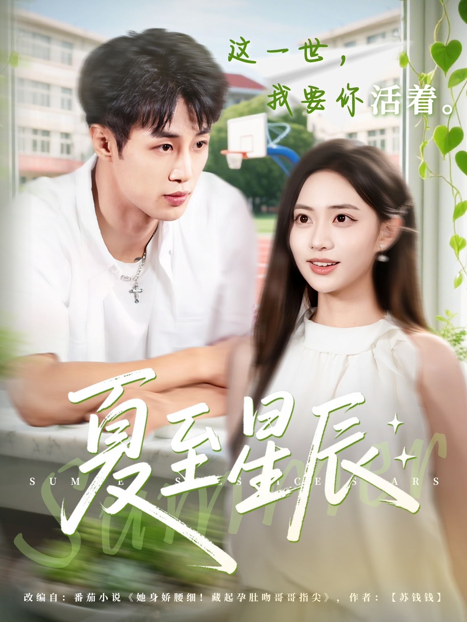 短剧 《夏至星辰》 高清无删减全集完整版在线观看 短剧 《夏至星辰》 高清无删减全集完整版在线观看