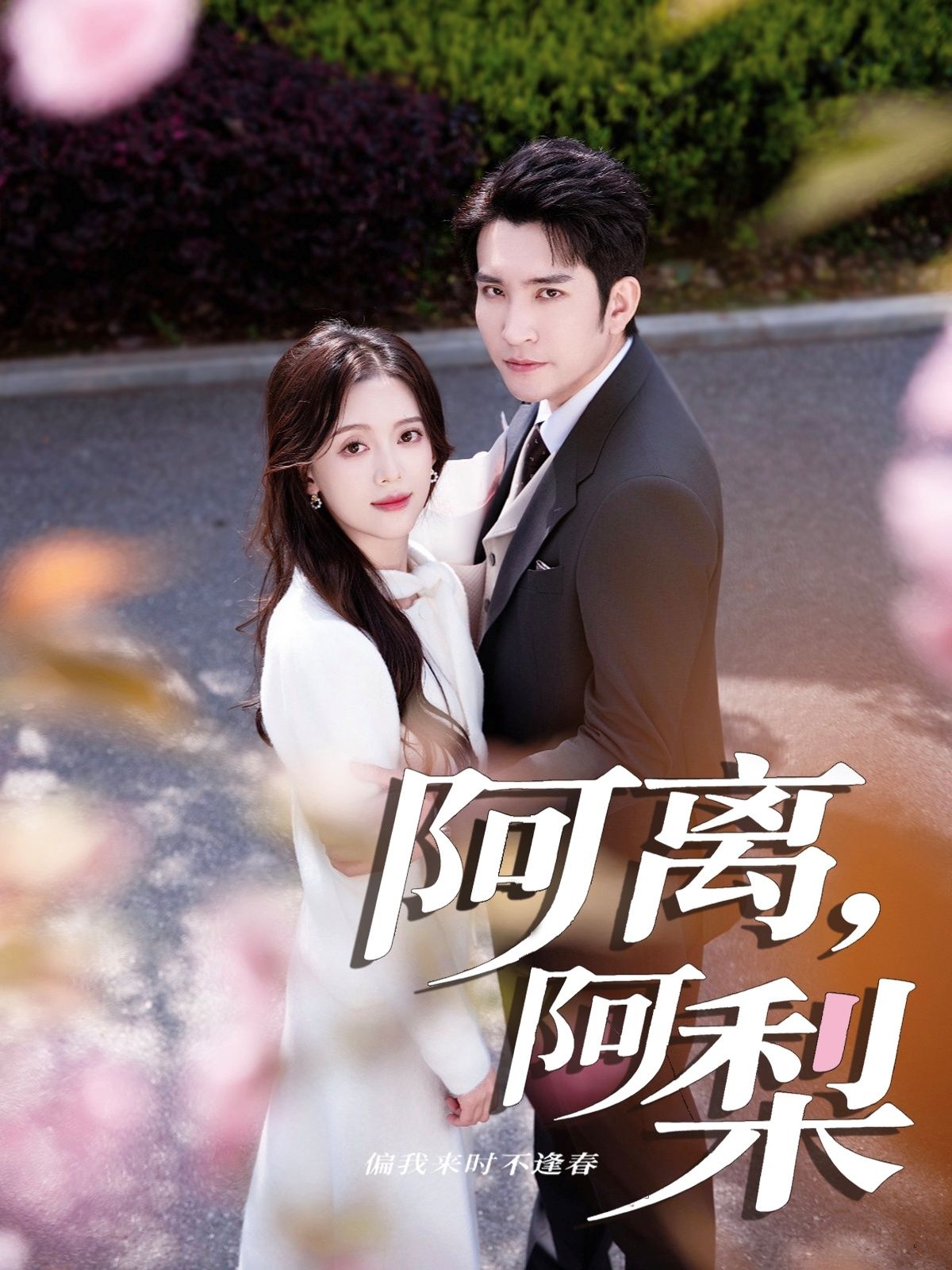 短剧 《阿离阿梨》 1080P 超高清全集完整版在线观看