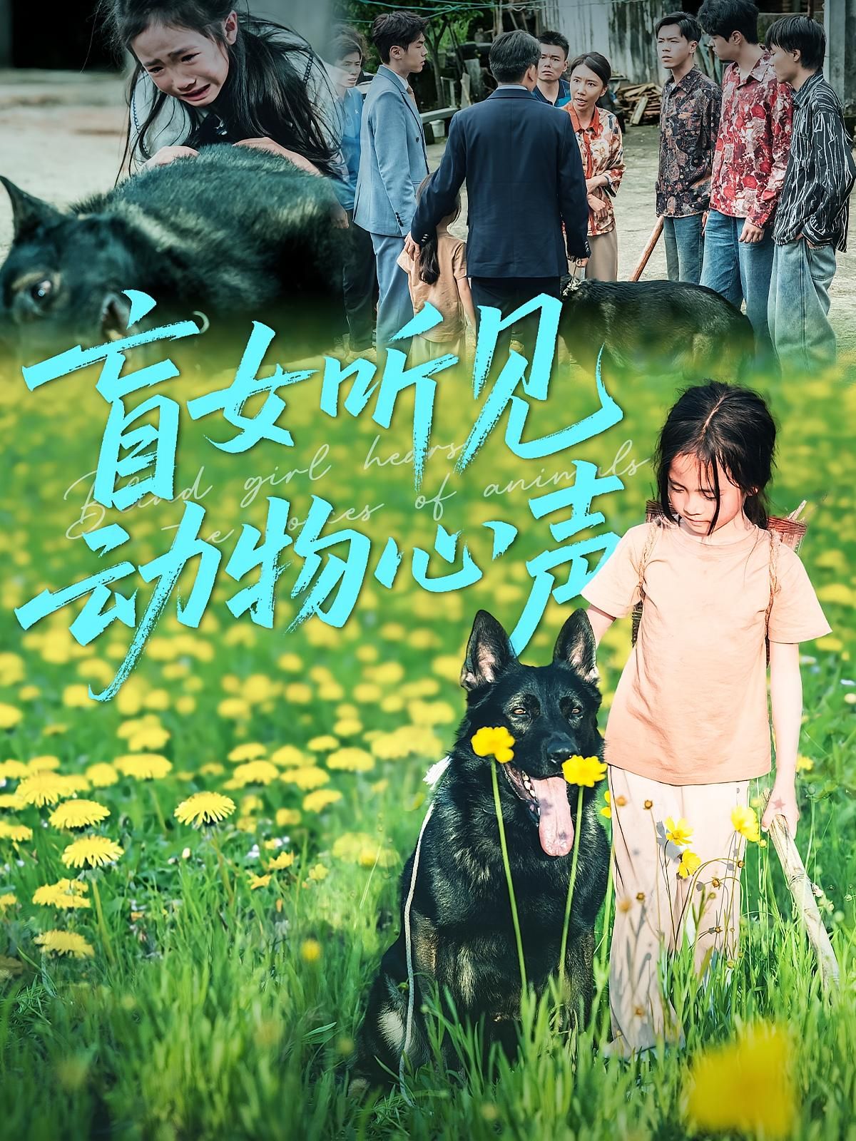 短剧 《盲女听见动物心声》 高清完整全集无删减版在线观看 短剧 《盲女听见动物心声》 高清完整全集无删减版在线观看