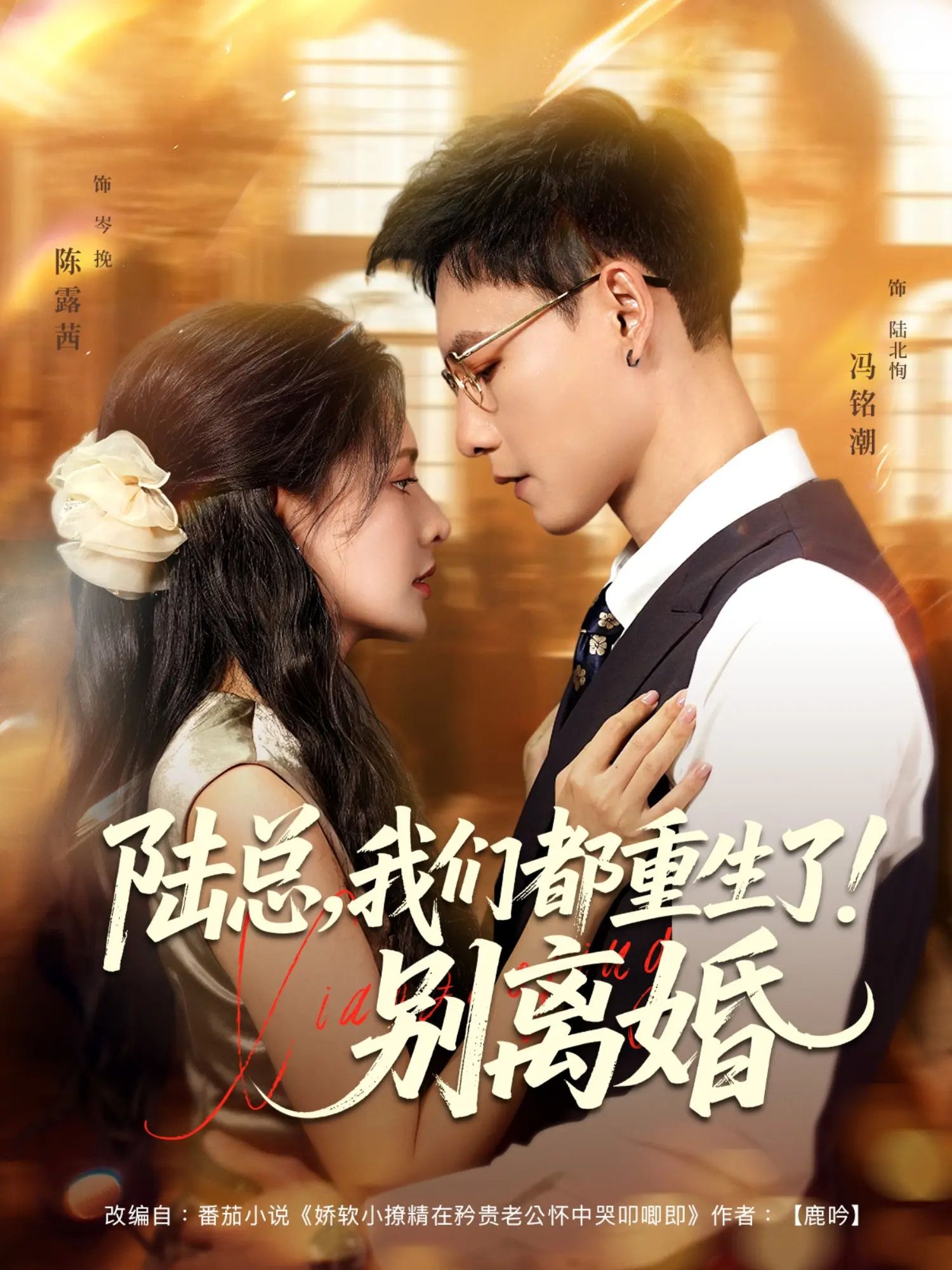 短剧 《陆总我们都重生了别离婚》 观看超高清完整全集完整版