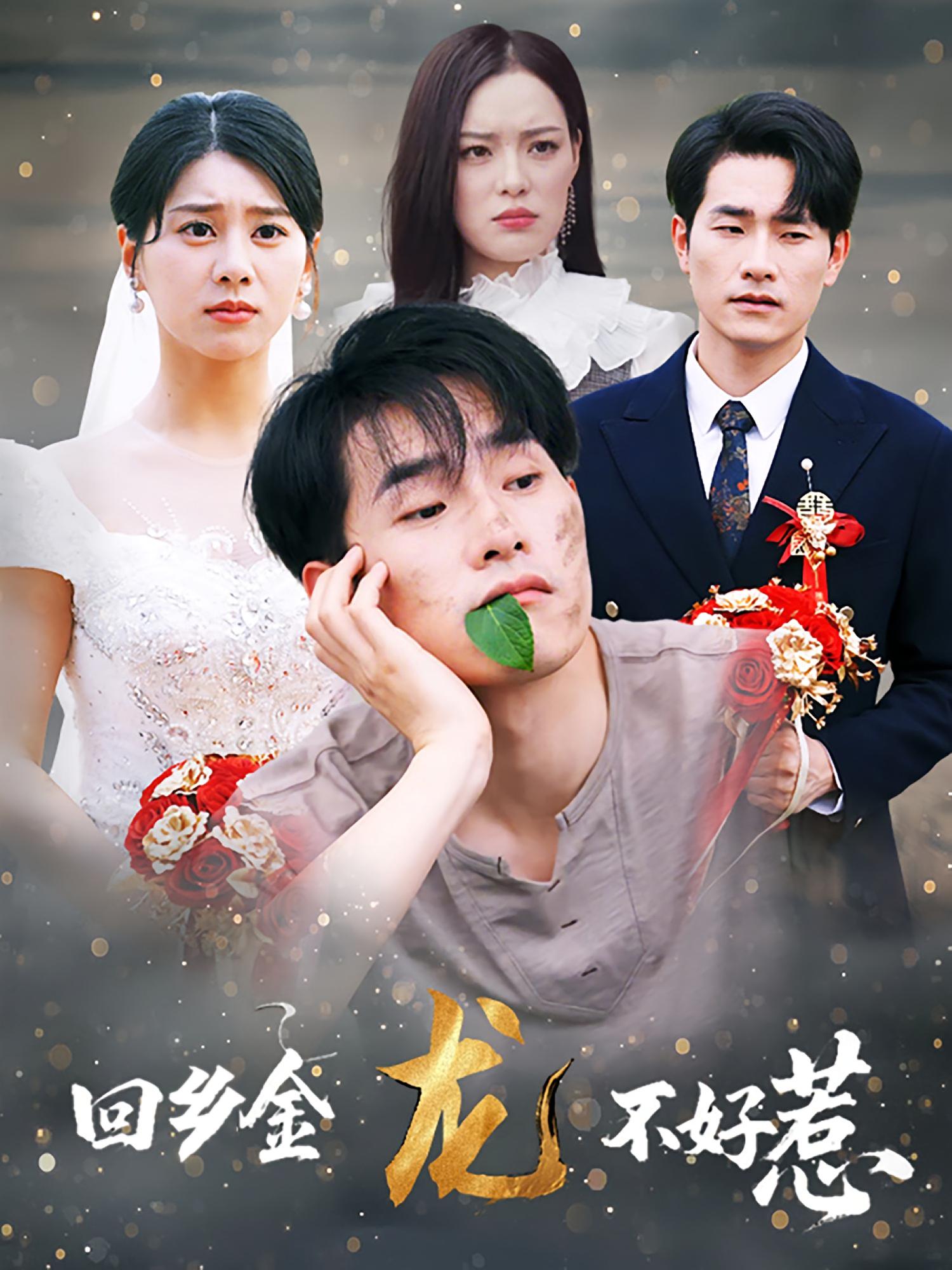 短剧《短剧《回乡金龙不好惹》 短剧全集在线，免费高清观看，大结局已完结！》 短剧全集在线，免费高清观看，大结局已完结！