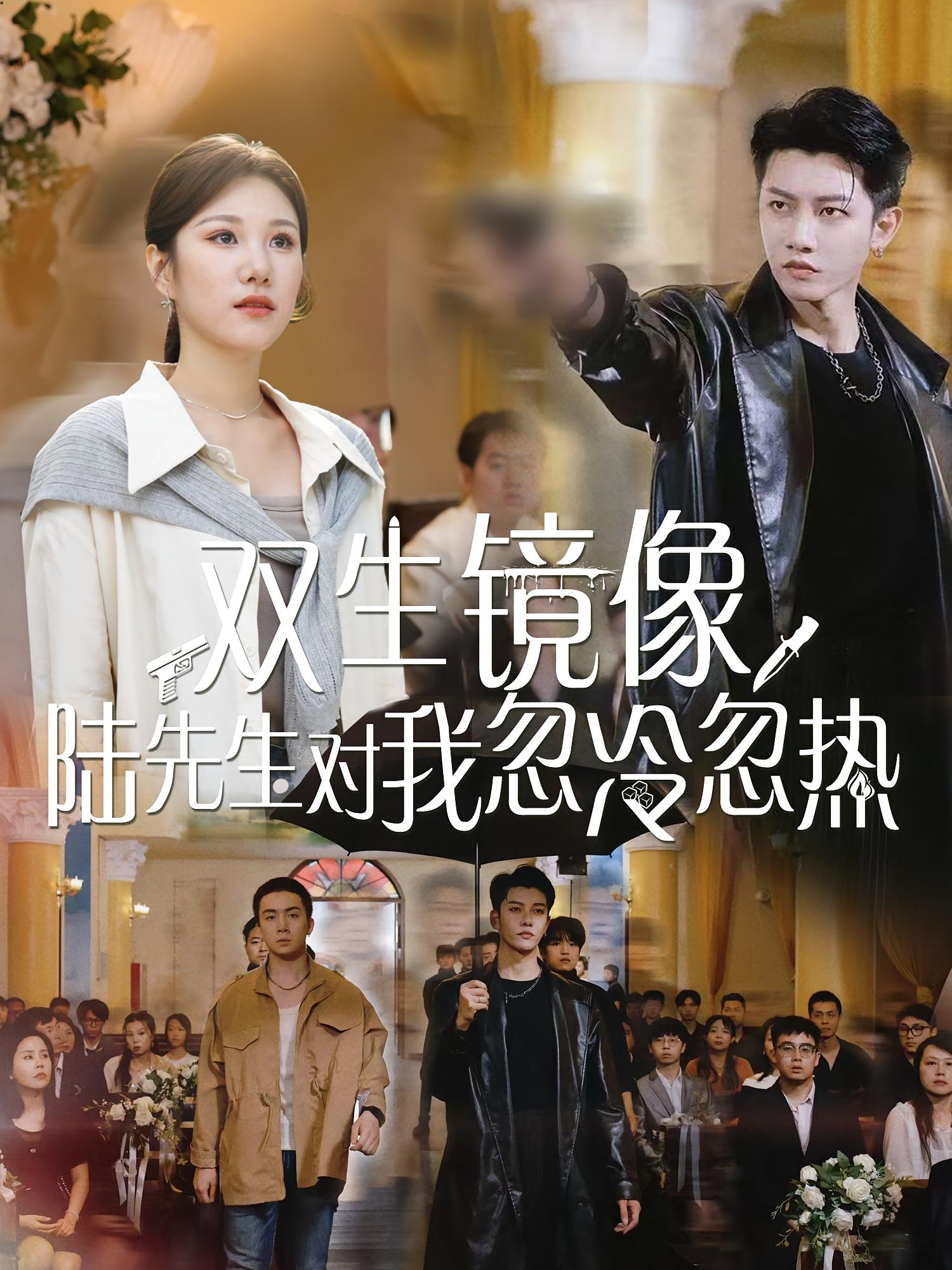 短剧《双生镜像陆先生对我忽冷忽热》 全集免费在线，高清画质，大结局震撼揭晓