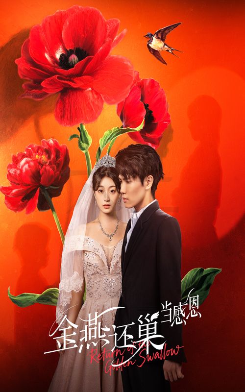 短剧 《金燕还巢当感恩》 高清完整全集免费在线观看无广告，情感与感恩，金燕的回声