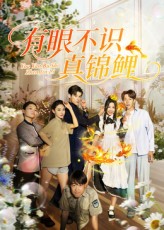 有眼不识真锦鲤短剧免费立即在线看高清！高清全集无删减版，精彩剧情全解锁，速来围观！