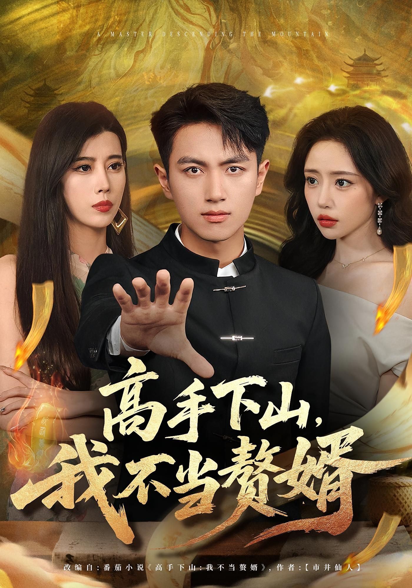 短剧 《高手下山我不当赘婿》 在线看高清全集完整版 1080P