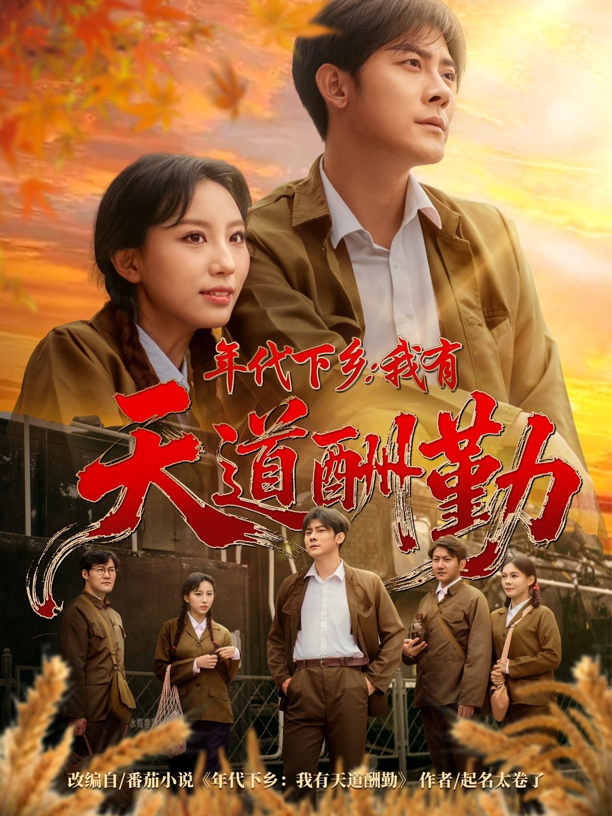 短剧 《年代下乡我有天道酬勤》 在线看超高清全集完整版 HD