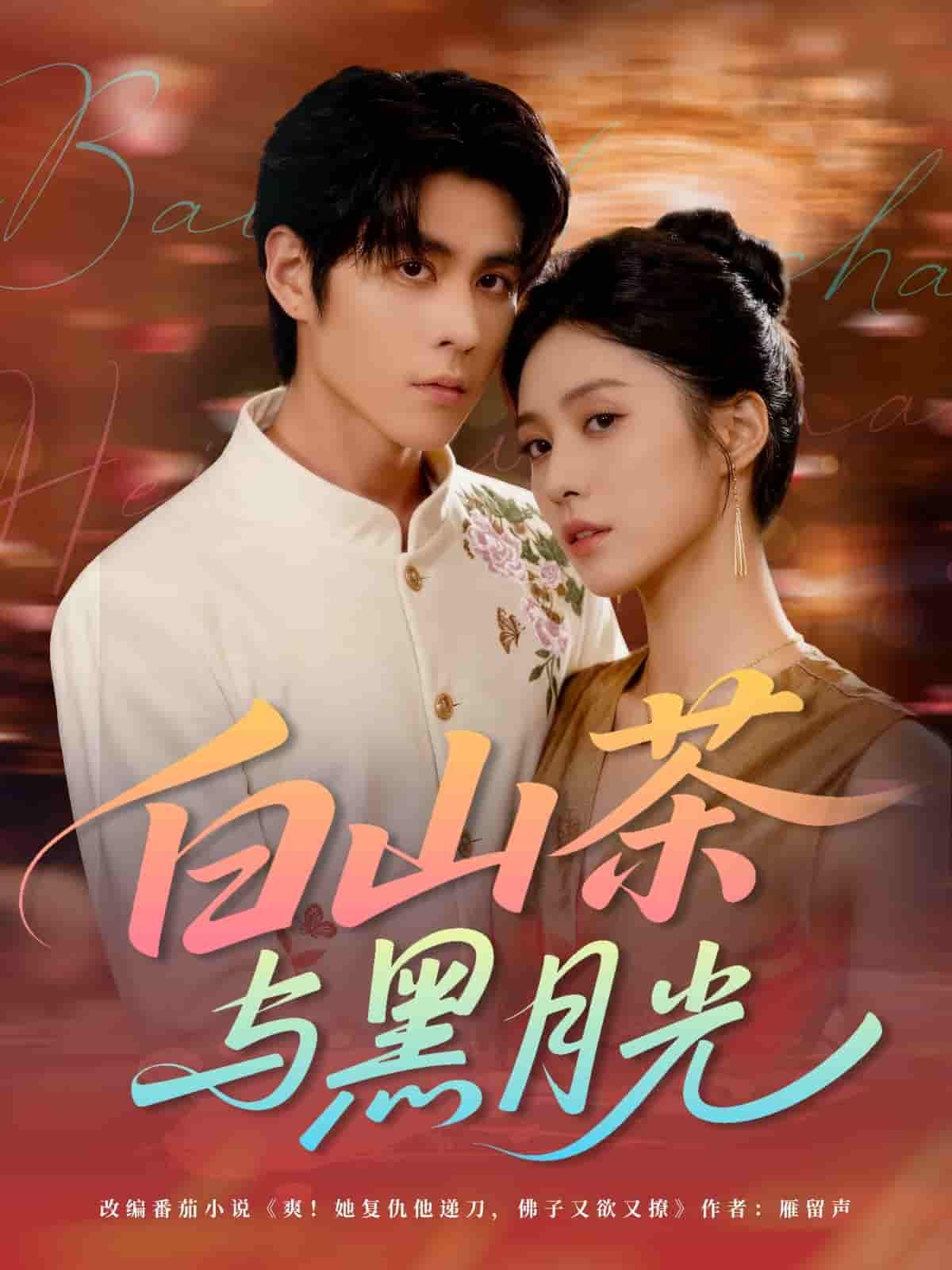 短剧 《白山茶与黑月光》 超高清完整全集无删减版在线观看