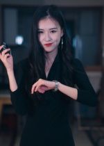 短剧 《制裁者的游戏》 高清全集完整版无删减在线观看