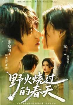短剧 《野火烧过的春天》 HD 高清完整全集在线观看 1080P