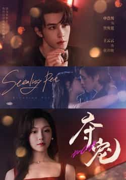 短剧 《夺宠》 高清无删减全集在线观看 短剧 《夺宠》 高清无删减全集在线观看