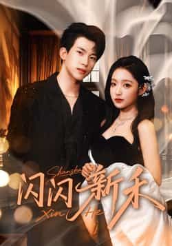 热门短剧《闪闪新禾》 全集完整版免费在线观看播放未删减版资源，短剧百度网盘夸克网盘免费资源速存分享下载