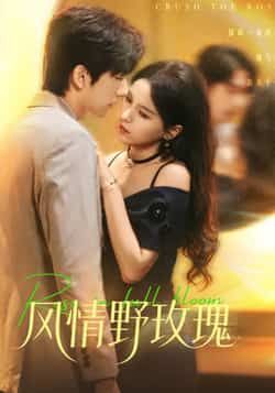 热门短剧《风情野玫瑰》 全集完整版免费无广告在线观看播放未删减版资源,短剧百度网盘夸克网盘免费资源分享下载 热门短剧《风情野玫瑰》 全集完整版免费无广告在线观看播放未删减版资源,短剧百度网盘夸克网盘免费资源分享下载